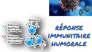 le cours de limmunité spécifique à médiation humorale 3AC [upl. by Llorrac754]