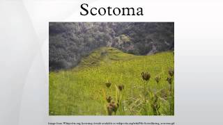 Scotoma [upl. by Retsof]