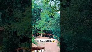 Aravali hills scene 🌿 aravalihills aravali hills nature shorts jordanmanali balimanali [upl. by Lamonica108]