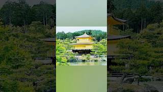 Kinkakuji japan buddhisttemples kyoto kinkakuji travel goldentemple nature [upl. by Poppo]