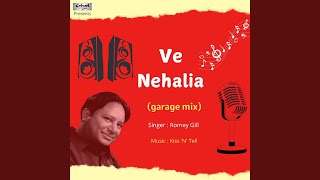 Ve Nehalia garage mix [upl. by Trutko]