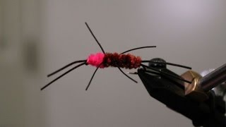 Steelhead Stonefly with Slabby Steelhead Intro [upl. by Ailad]