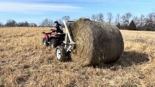 20240221 new bale for the cows it is a very warm February [upl. by Croteau8]