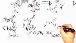 Ethanoic Anhydride 2 Nucleophilic addition elimination reactions [upl. by Eceinaj]