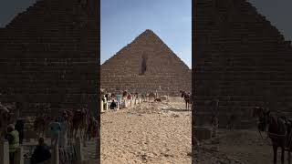 The Great Pyramids of Giza egypttravel hollandamericacruise sevenwondersoftheworldancient [upl. by Tulley]