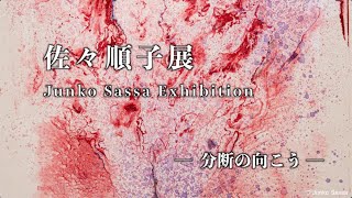 佐々順子展 ― 分断の向こう ― Junko Sassa Exhibition 2024 中和ギャラリー [upl. by Byrle]