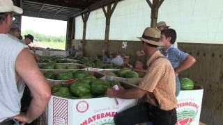 Produce Auction In Lancaster County [upl. by Thorlie]