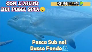 Pesca Subacquea CON LAIUTO dei PESCI SPIA 😃💪 UN TRUCCO CHE NON DIMENTICHERAI Pesca sub bassofondo [upl. by Scheld]