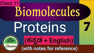 Class 11  Biomolecules  Proteins  7 [upl. by Meehyr]