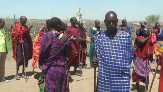 Maasai village  welcome Ngorongoro Tanzania [upl. by Relluf733]