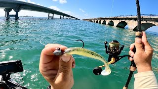 Florida Keys  Fishing The 7 Mile Bridge First Time [upl. by Enilorac248]