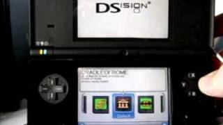 DSTTi  DSision  DSi  2Gb  working DSTTi  DSision  DSi  8Gb  NOT working [upl. by Ayra]