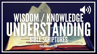 Bible Verses On Wisdom Knowledge and Understanding  Encouraging Scriptures [upl. by Schechinger58]