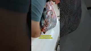 How to Fillet an Opah Fish [upl. by Yenttirb134]