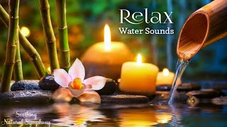 Relaxing Piano Music amp Water Sounds 247  Ideal for Stress Relief and Healing [upl. by Roybn593]