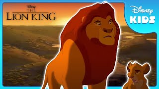 Mufasas Wisdom Shines ☀️  The Lion King  Disney Kids [upl. by Purington]