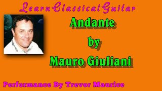 Andante Mauro Giuliani [upl. by Lemak]