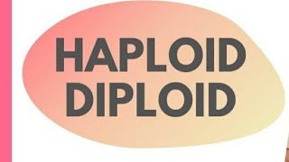 Haploid and Diploid cells Tamil Mightymedicoz [upl. by Adleremse628]