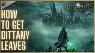 Hogwarts Legacy How to get Dittany Leaves [upl. by Hsital26]