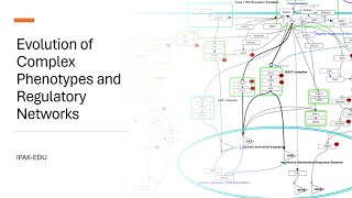 Evolution of Genetic Regulatory Networks [upl. by Pinchas694]