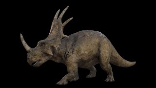 Styracosaurus  Styraco Dinosaur  NgchipvShortVer [upl. by Desireah]