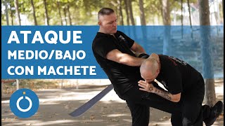 DEFENSA PERSONAL Ante ATAQUE de MACHETE 🔪 Krav Maga de Defensa Personal [upl. by Iggam471]