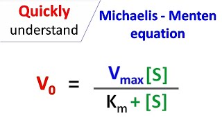 Michaelis Menten equation [upl. by Notnyw]