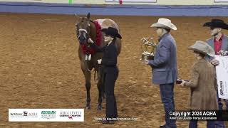 2024 AQHA Amateur 2YearOld Mares World Champion [upl. by Bernj]