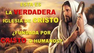 ¿Cuál es la iglesia que Cristo fundó ¿Qué dice la Biblia ¿Es la Iglesia Católica Padre Amatulli [upl. by Aissatsana]