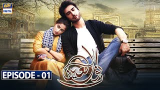 Noor Ul Ain Episode 1  10th Feb 2018  ARY Digital Subtitle Eng [upl. by Heywood]