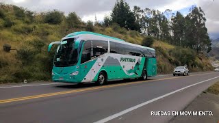 Variedad de BUSES cumpliendo sus diferentes rutas  Ruedas en Movimiento [upl. by Lemert302]