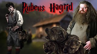 Rubeus Hagrid Origins and Life Story Explained In Hindi [upl. by Benyamin]