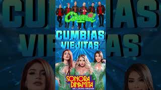 LOS ÁNGELES AZULES CAÑAVERAL LA SONORA DINAMITA MIX CUMBIA PARA BAILAR CUMBIAS DEL RECUERDO [upl. by Harlie]