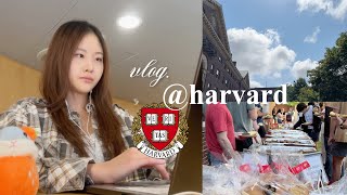 engkor a week harvard vlog long overdue [upl. by Nylarej294]