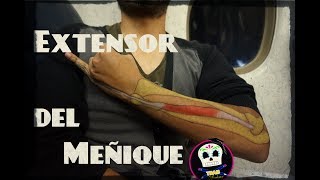 Extensor del Meñique [upl. by Sreip]