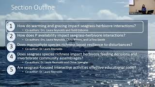 Effects of Environmental Change on Seagrass Resilience and SeagrassHerbivore Interactions [upl. by Asillam]