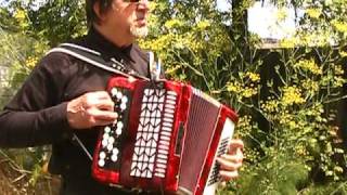 O Sole Mio  Accordion Italian Song [upl. by Bradley]