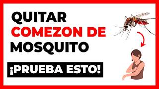 Como Quitar la Comezon de Picadura de Mosquito 🦟  Remedios Caseros y Consejos Prácticos [upl. by Aninad]