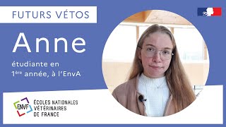 Futurs vétos  Anne raconte le concours postbac et la 1ère année vétérinaire [upl. by Wearing613]