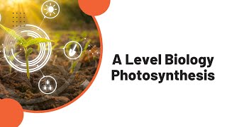 A Level Biology Photosynthesis [upl. by Doykos527]