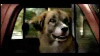 Tractor Supply Commercial with Border Collie or McNab dog [upl. by Anaig734]