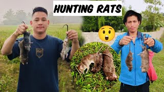 Hunting Rats in paddy field  Chumukedima Nagaland  Bishal vlogger [upl. by Merline]