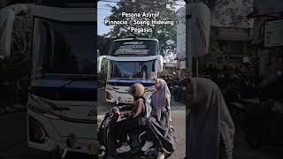 Pinnocio  Soang Hideung  Pegasus menyala busmania basuri telolet pegasus asyrof fyp bussid [upl. by Josie]