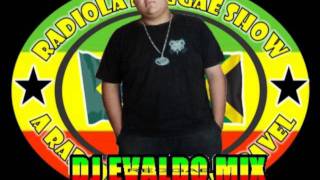 MELO DE PROBLEMATICO 2011 DJ EVALDO MIX [upl. by Eiduj]