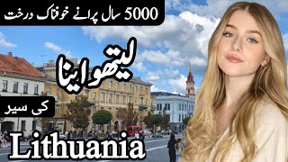 Travel to Lithuania  Amazing History and Documentary about Lithuania  Facts about Lithuania [upl. by Jauch]