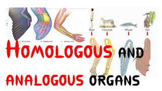 Homologous and analogous organs [upl. by Jules]