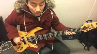 Bass Cover Tammy Wynette  Stand By Your Man [upl. by Eilyac]