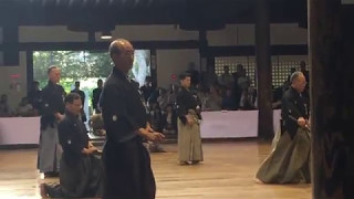 Kyoto Taikai 2017 Morishima Sensei [upl. by Ladnyc749]