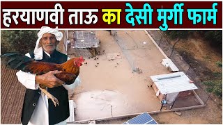 हरयाणवी ताऊ का देसी मुर्गी फार्म  Pure Desi Murgi Farm  Desi Poultry Farming [upl. by Meehaf]