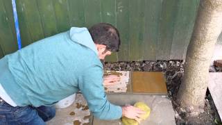 How To Point A Patio And Clean Indian Sandstone [upl. by Luca]